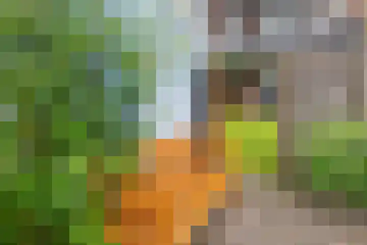 Billitonstraat 68 Groningen thumbnail 37