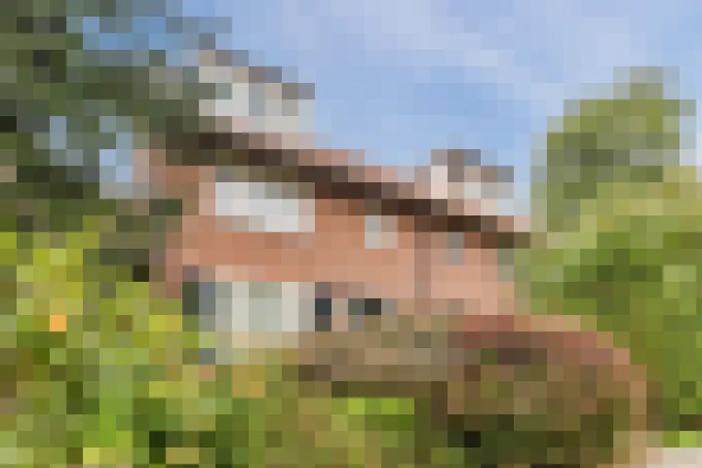 Billitonstraat 9 Amersfoort thumbnail 51