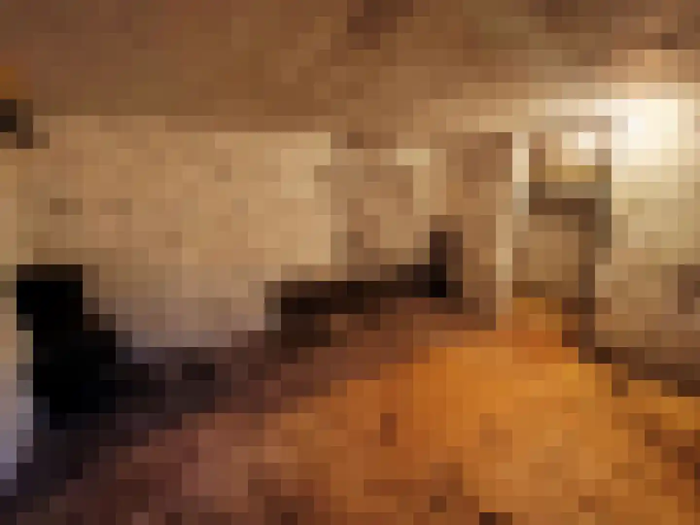 Bilserbaan 33 Maastricht thumbnail 34