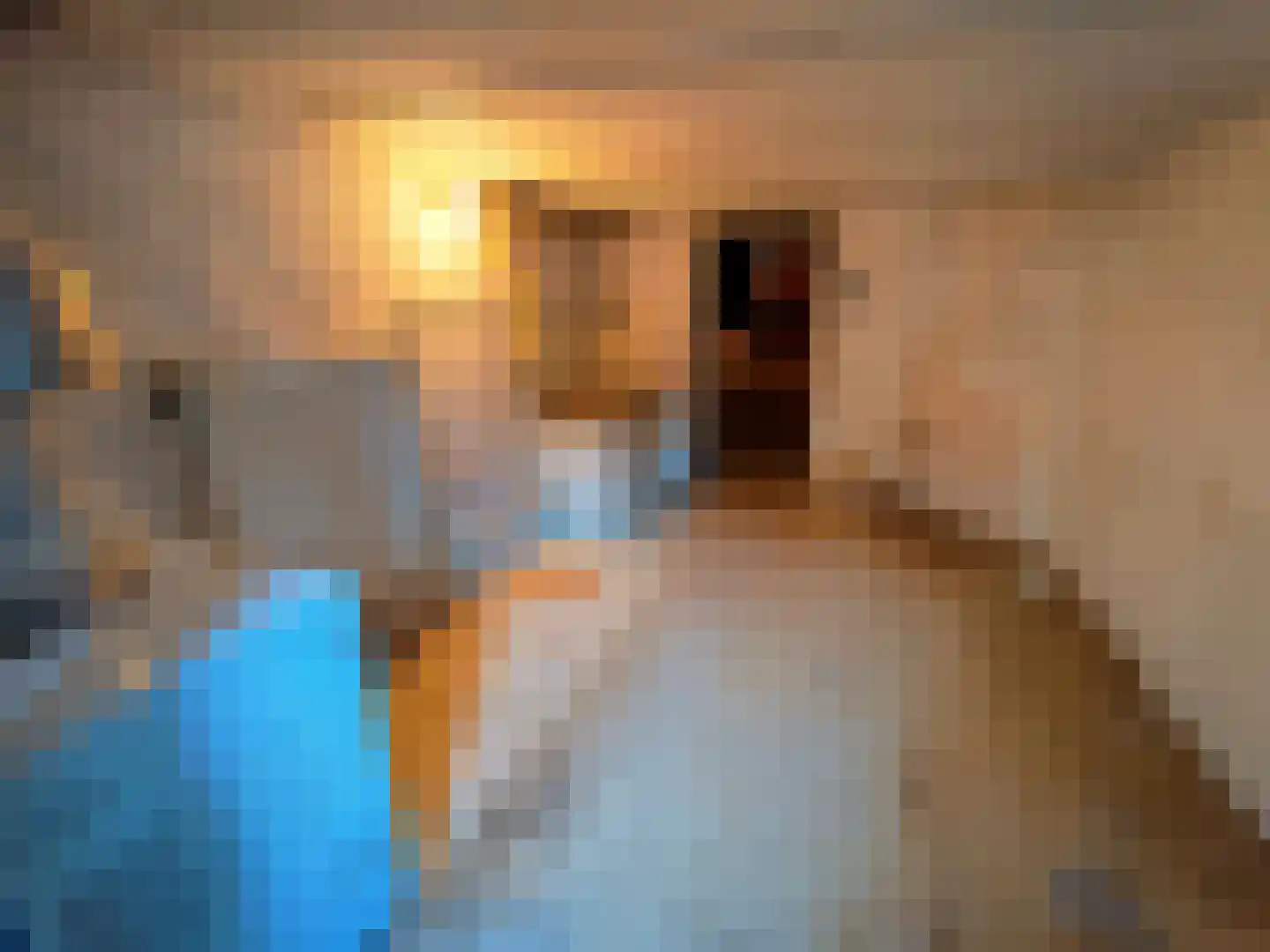Bilserbaan 33 Maastricht thumbnail 38