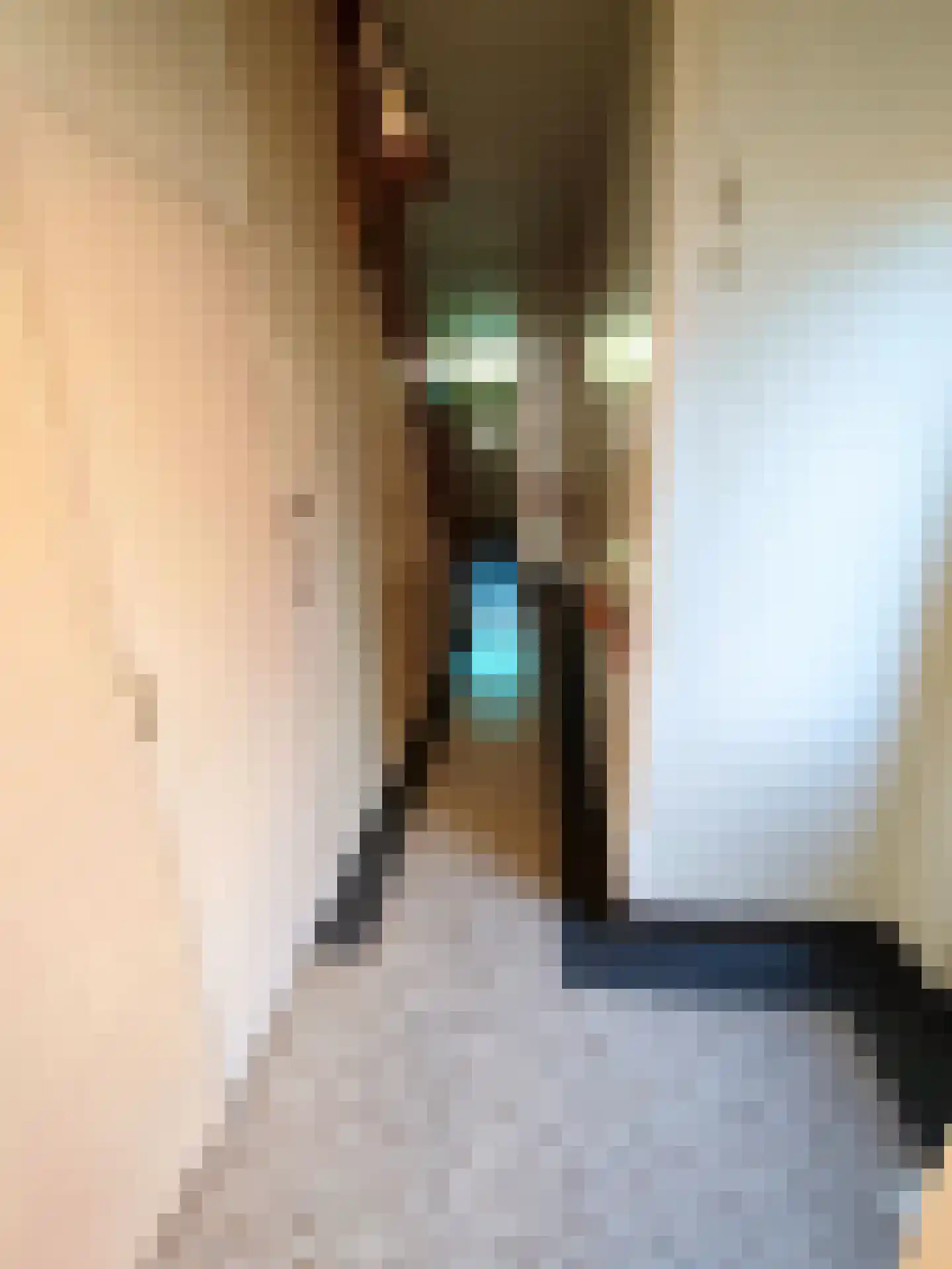 Bilserbaan 33 Maastricht thumbnail 4