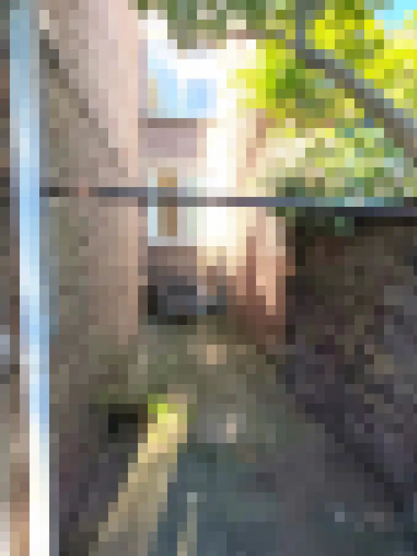 Bilserbaan 33 Maastricht thumbnail 42