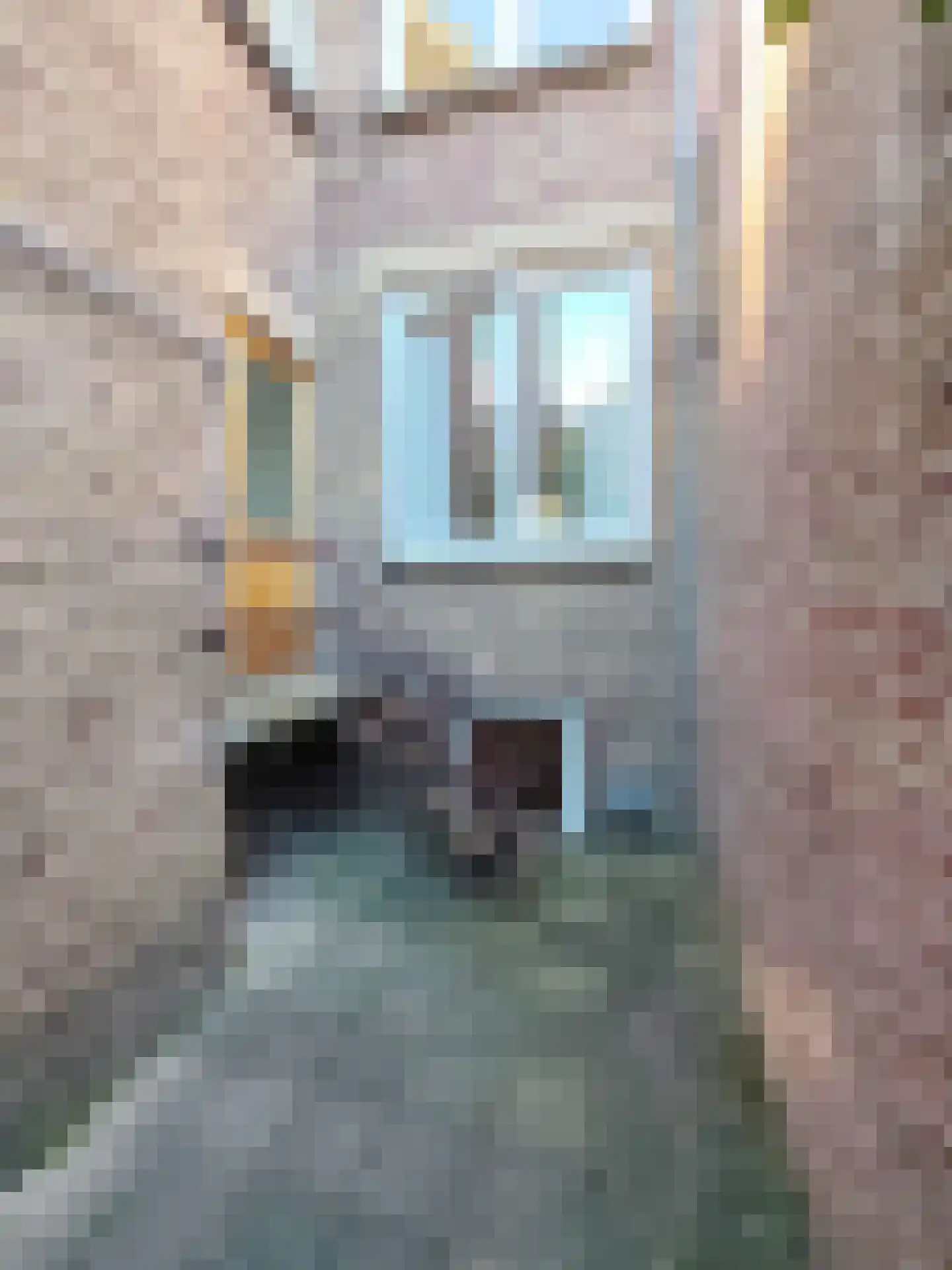 Bilserbaan 33 Maastricht thumbnail 43