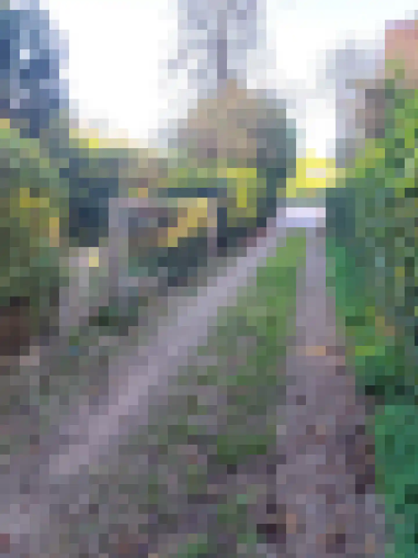 Bilserbaan 33 Maastricht thumbnail 48