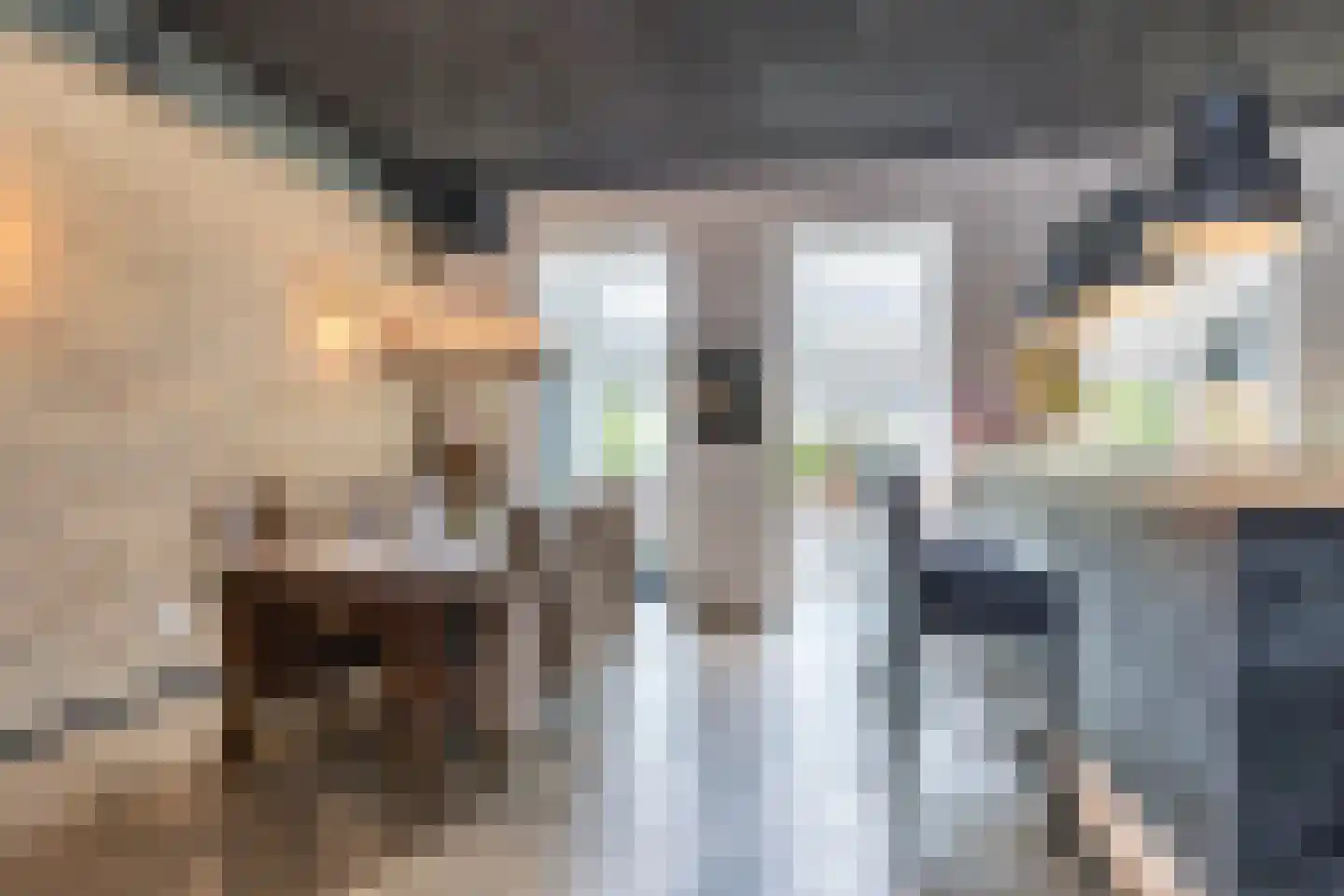 Bilserbaan 47 Maastricht thumbnail 9