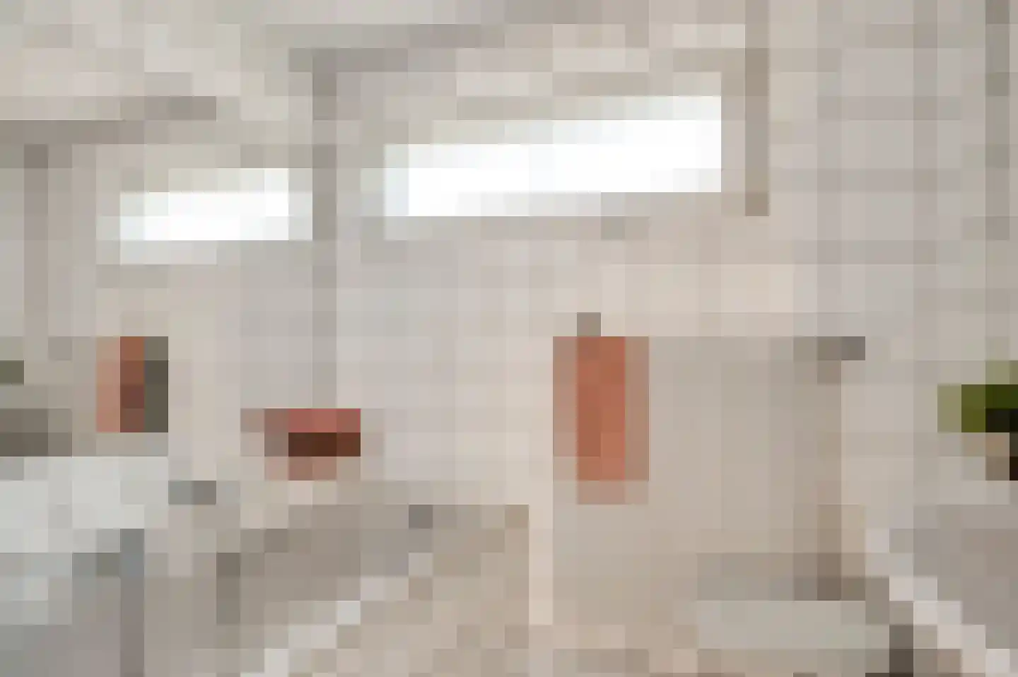 Bilt 3 b Stevensweert thumbnail 30