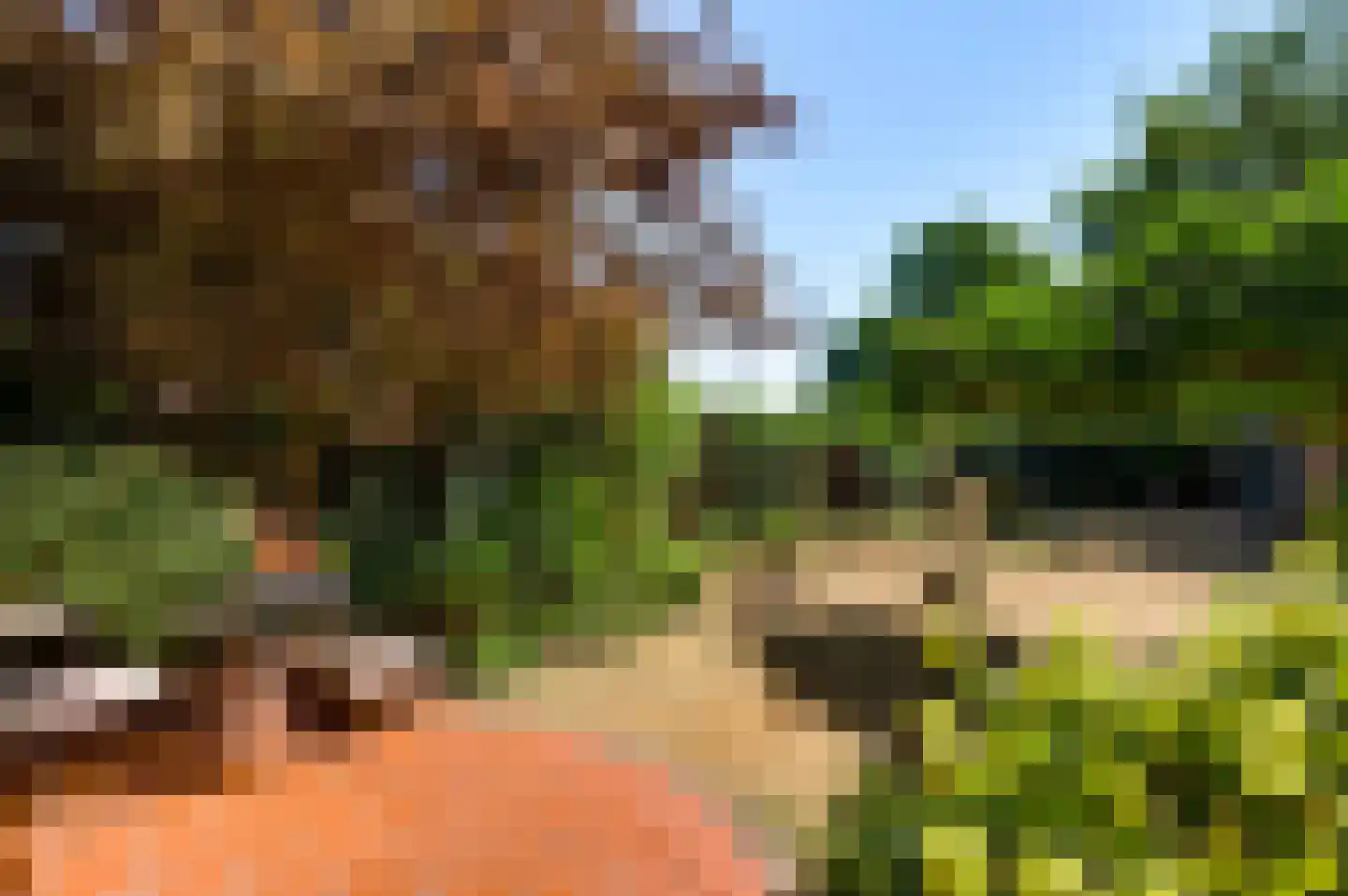Bilt 3 b Stevensweert thumbnail 35