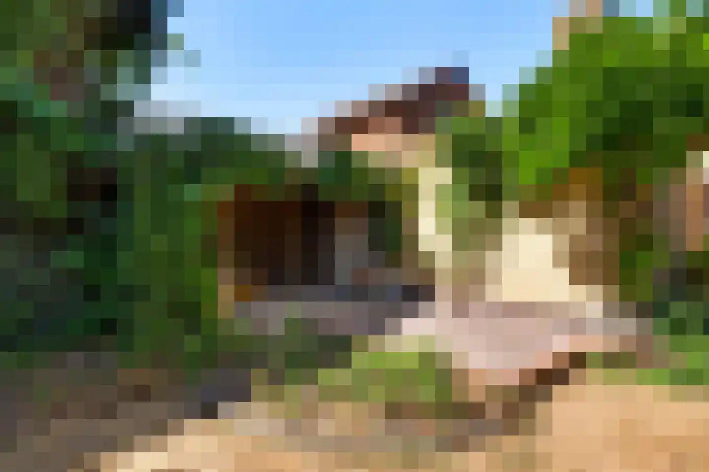 Bilt 3 b Stevensweert thumbnail 39