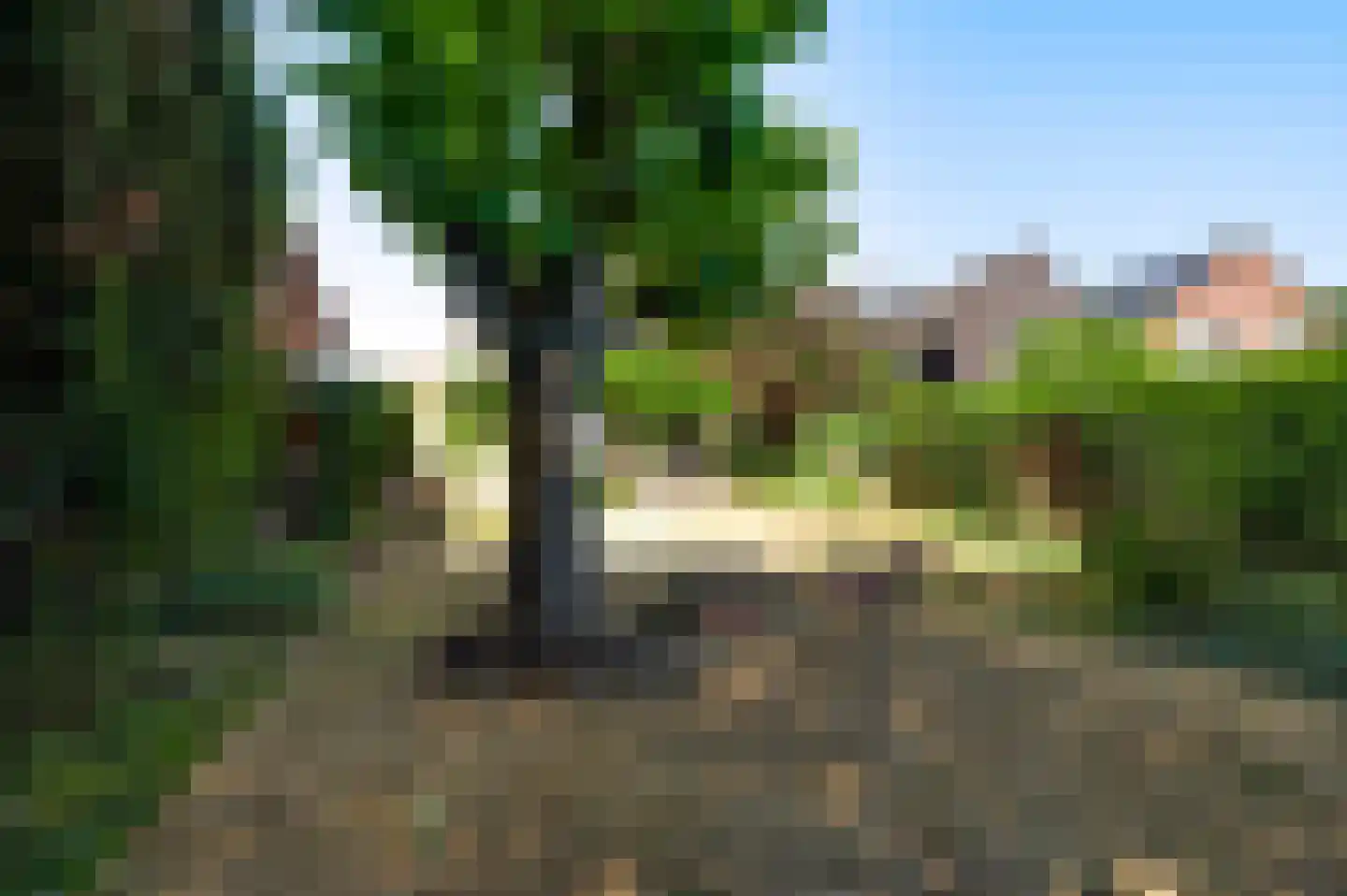 Bilt 3 b Stevensweert thumbnail 42