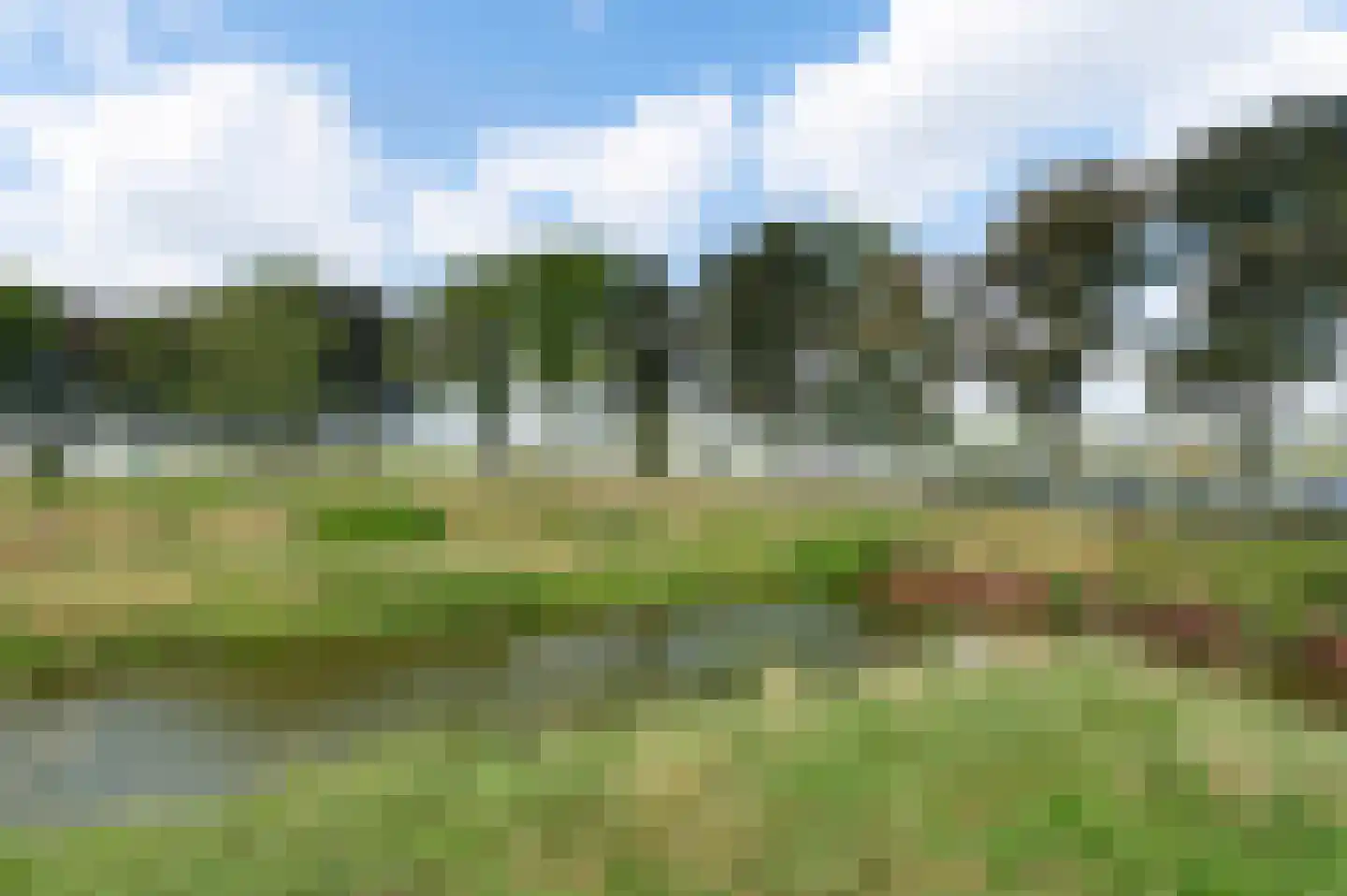 Bilt 3 b Stevensweert thumbnail 55