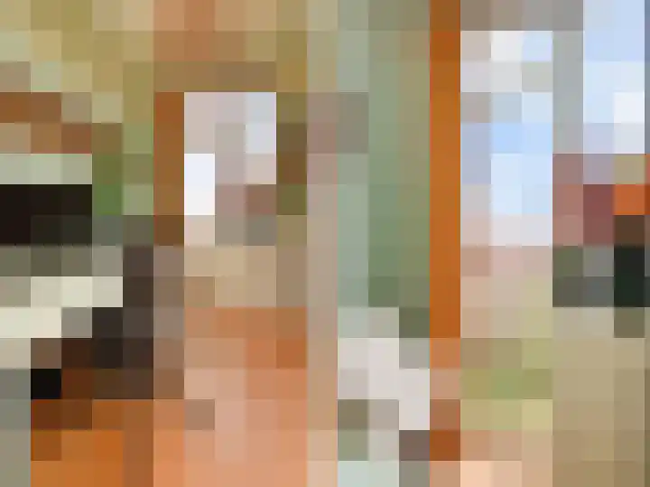Bilthovenselaan 33 Den Haag thumbnail 23