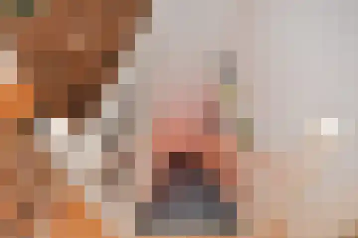 Bilthovenselaan 33 Den Haag thumbnail 8