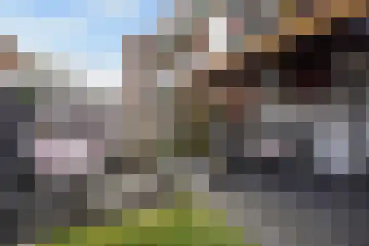 Bilthovenselaan 37 Den Haag thumbnail 22