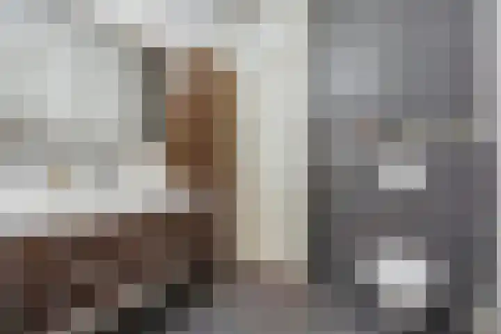 Bilthovenselaan 37 Den Haag thumbnail 41