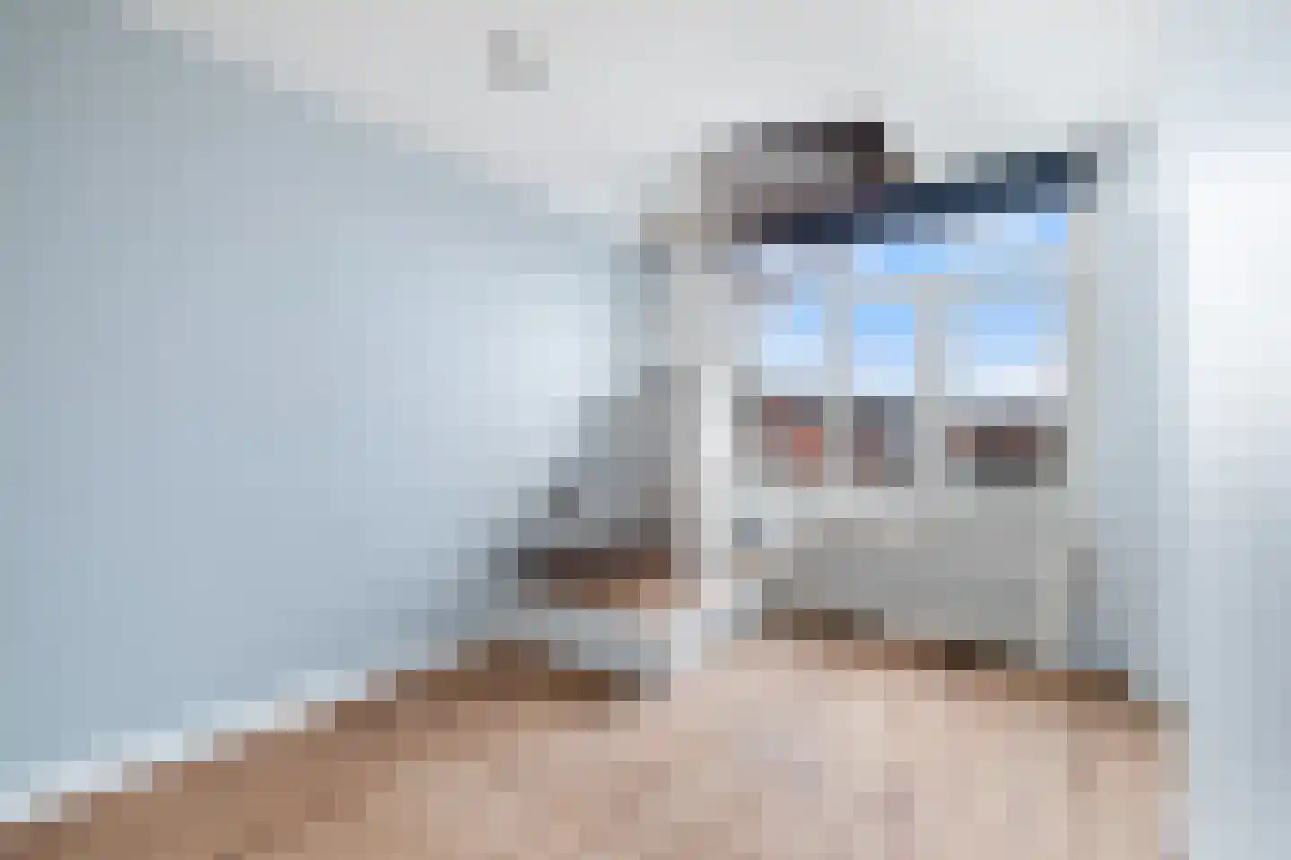 Bilthovenselaan 42 Den Haag thumbnail 15