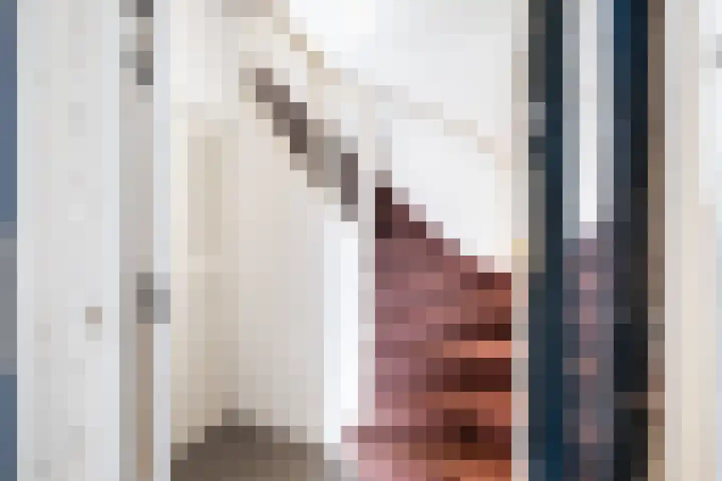 Bilthovenselaan 42 Den Haag thumbnail 8