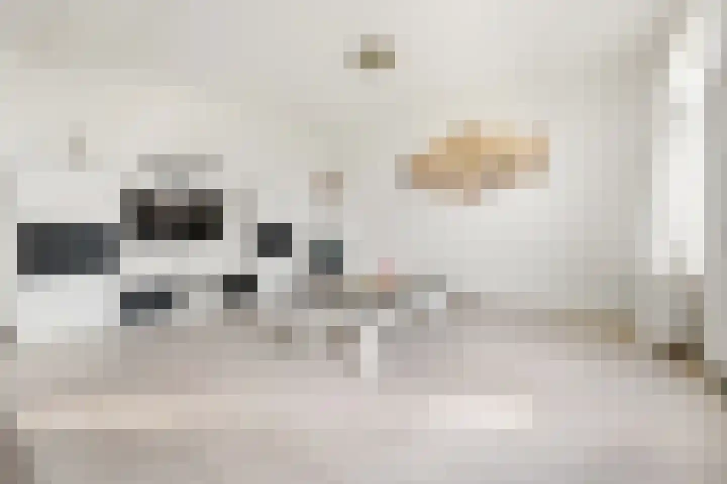Bilthovenselaan 67 Den Haag thumbnail 20