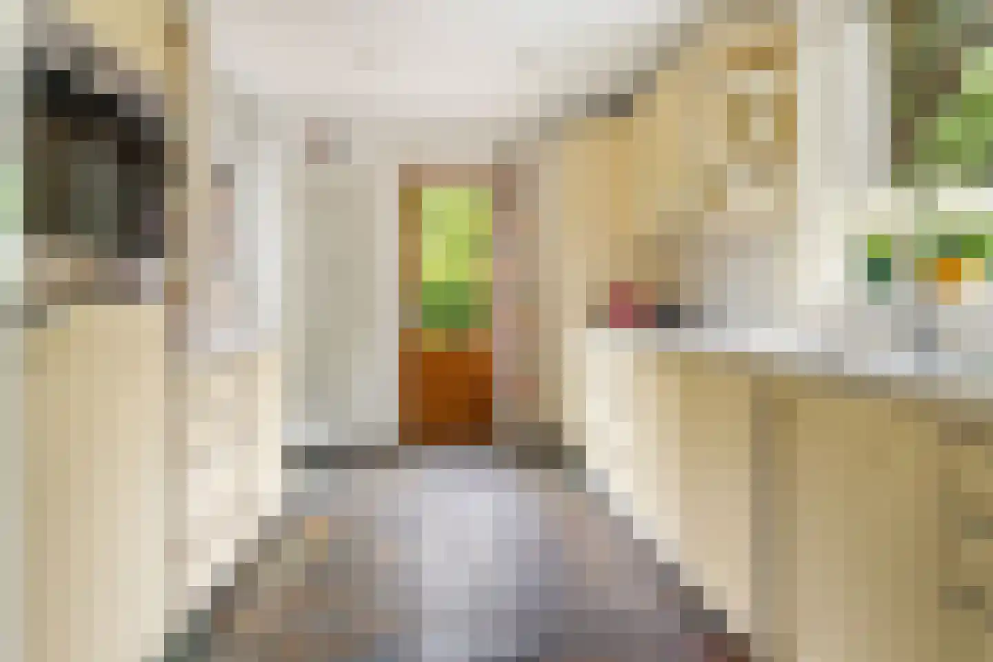 Bilthovenseweg 14 De Bilt thumbnail 17