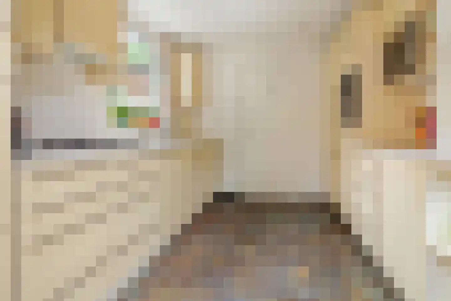 Bilthovenseweg 14 De Bilt thumbnail 18