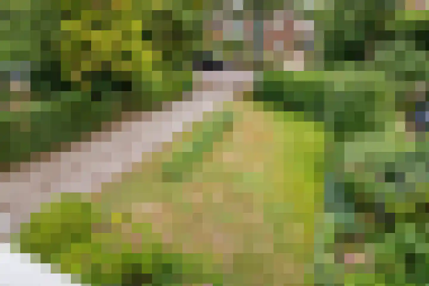 Bilthovenseweg 14 De Bilt thumbnail 26