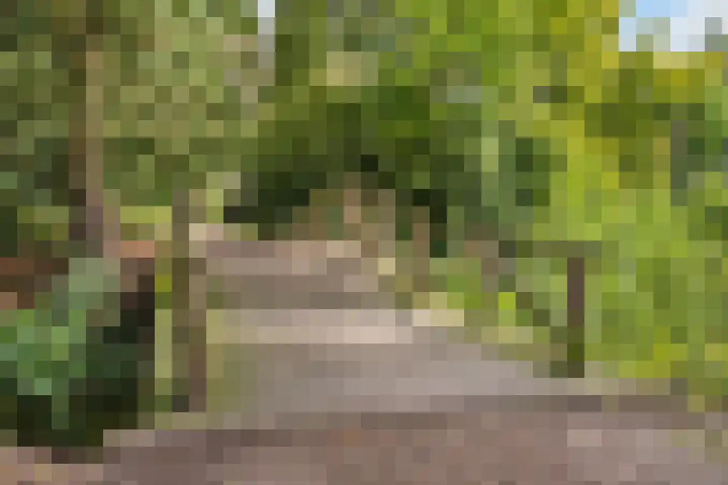 Bilthovenseweg 14 De Bilt thumbnail 56