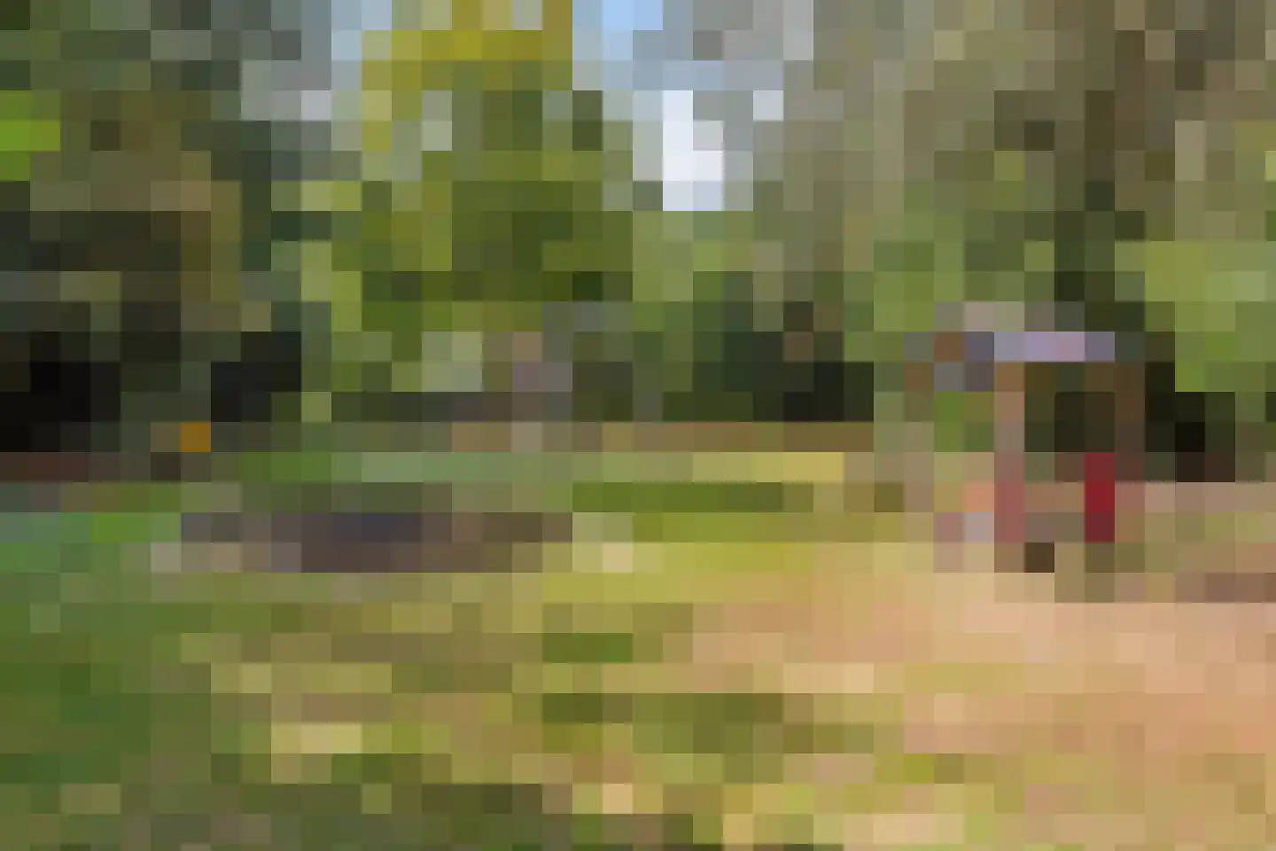 Bilthovenseweg 14 De Bilt thumbnail 57