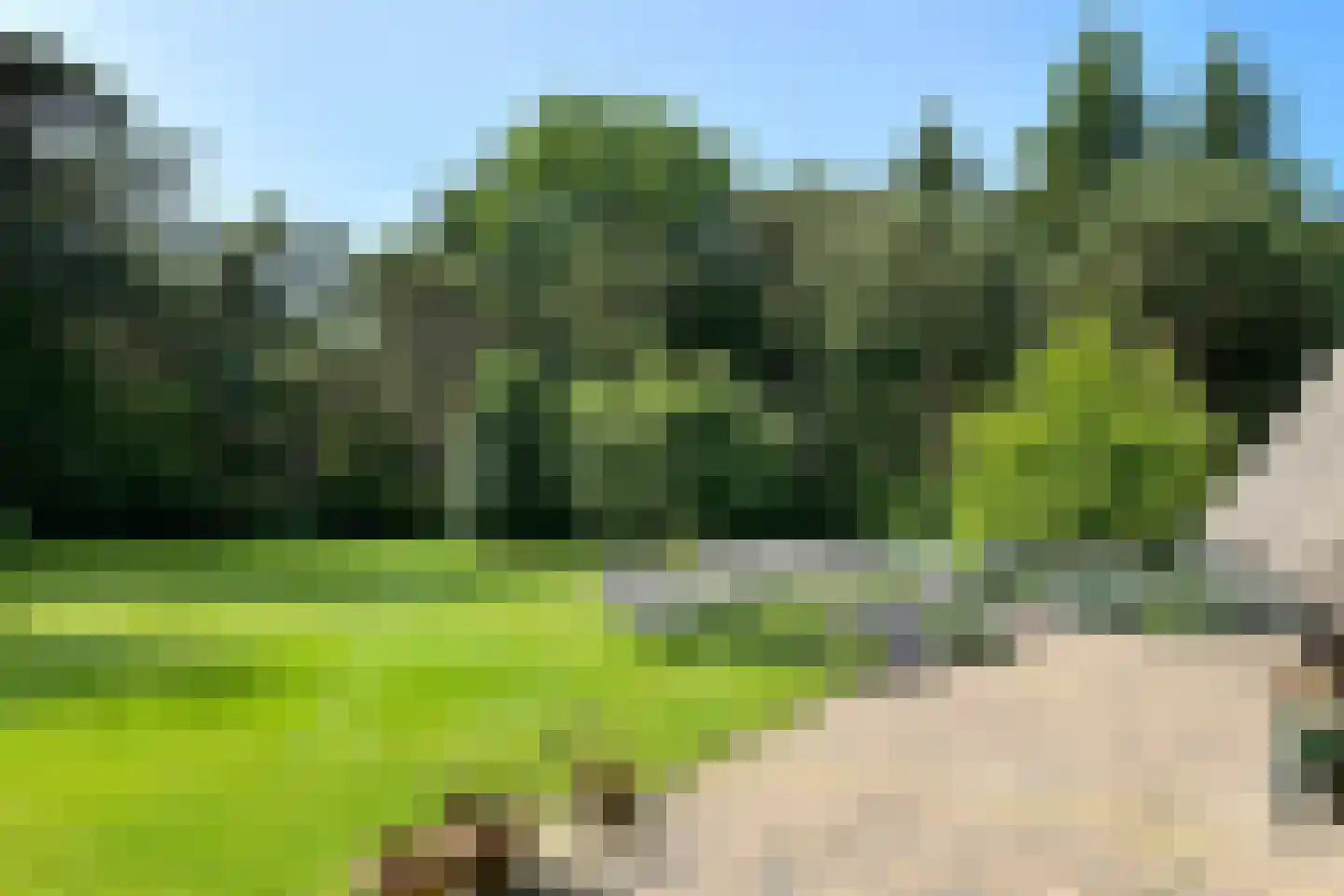 Biltseweg 31 Bosch en Duin thumbnail 42