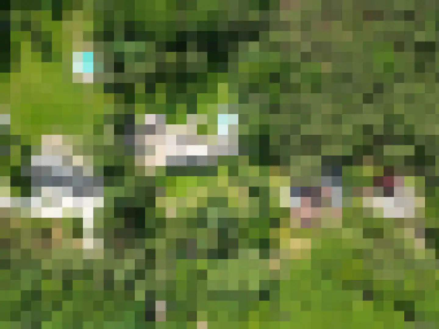 Biltseweg 31 Bosch en Duin thumbnail 50