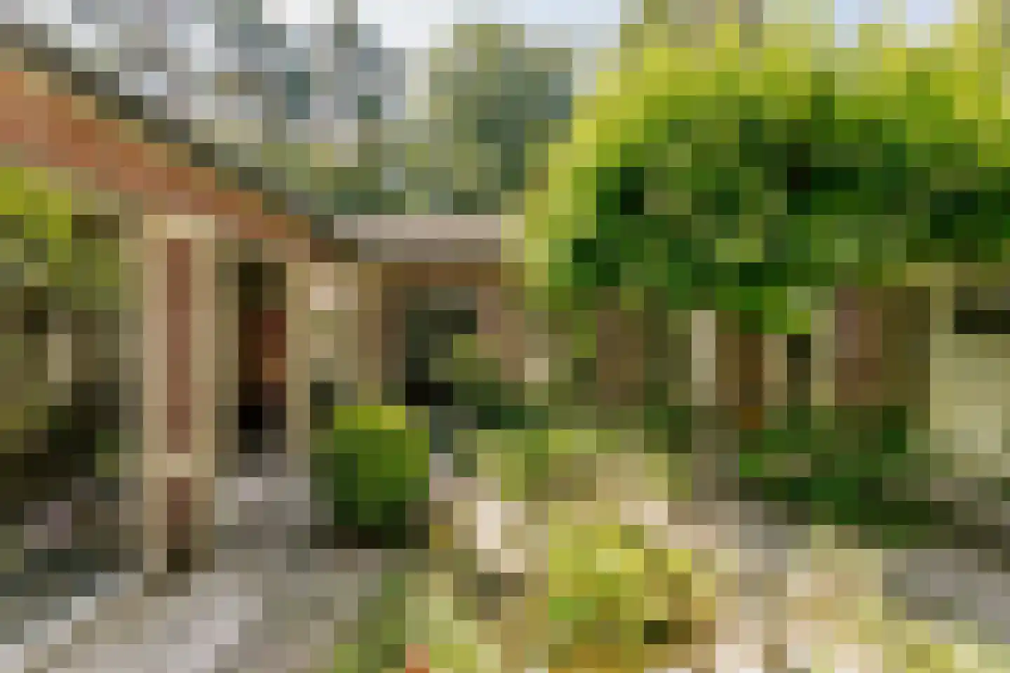 Biltseweg 5 Bosch en Duin thumbnail 16