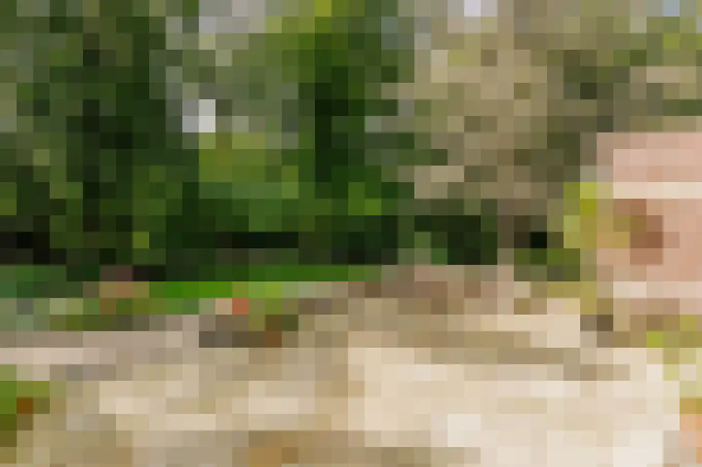 Biltseweg 5 Bosch en Duin thumbnail 28