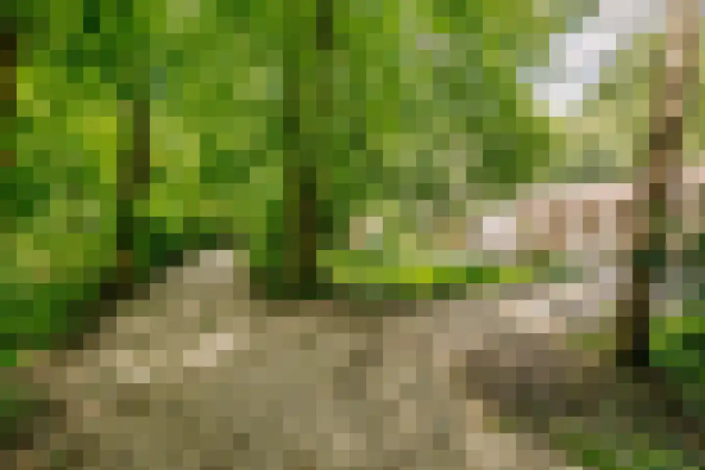 Biltseweg 5 Bosch en Duin thumbnail 31