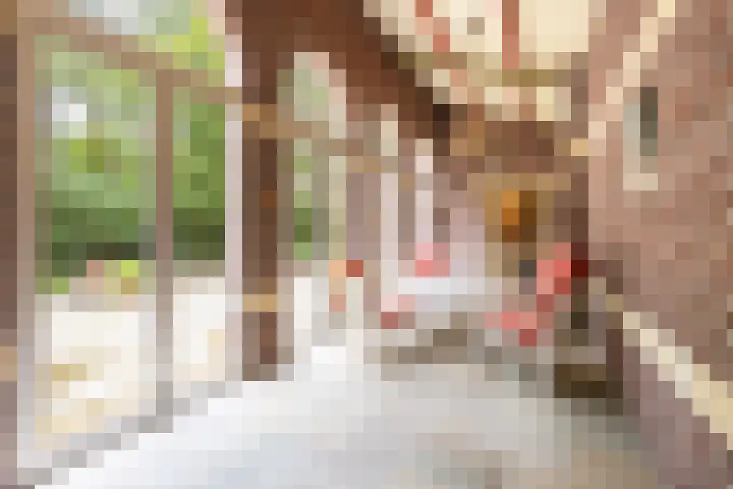 Biltseweg 5 Bosch en Duin thumbnail 32