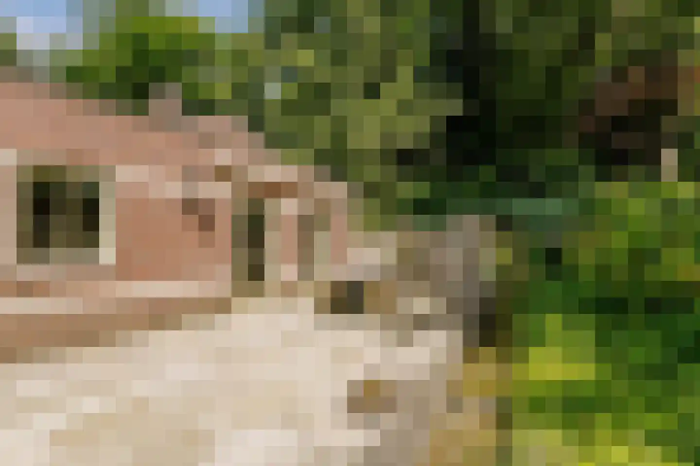 Biltseweg 5 Bosch en Duin thumbnail 33