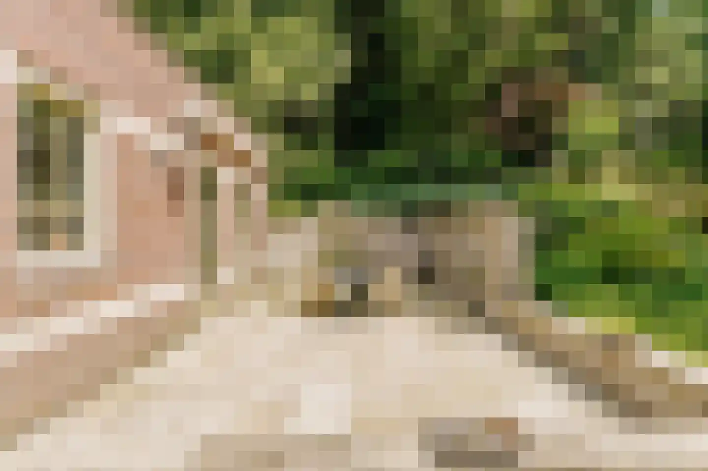 Biltseweg 5 Bosch en Duin thumbnail 34