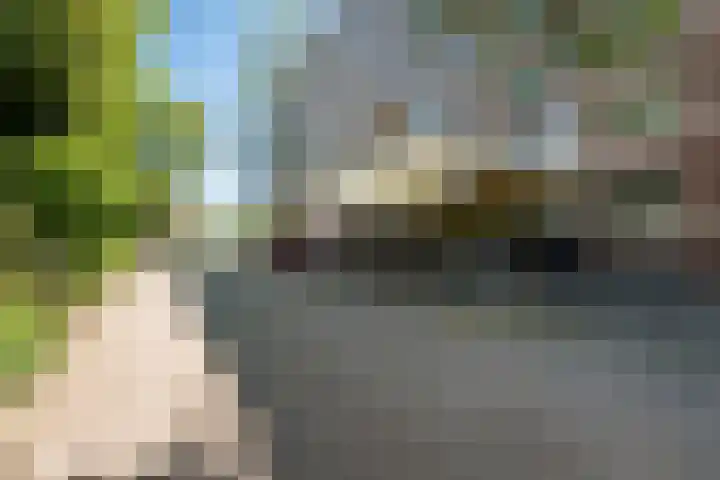 Biltstein 156 De Bilt