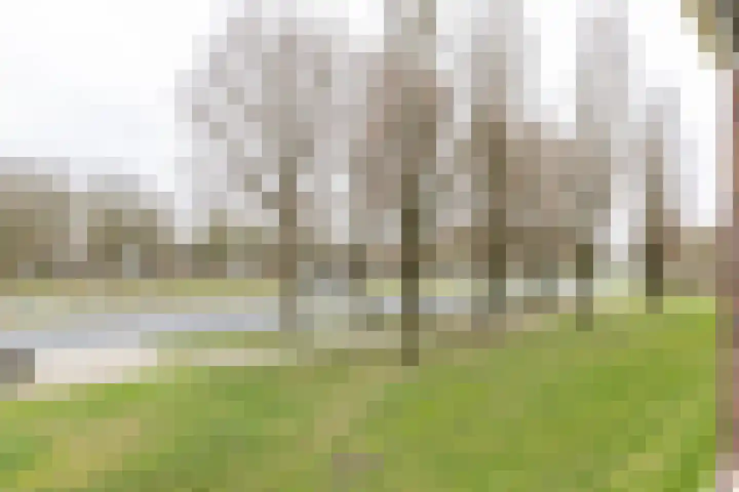 Biltstein 40 De Bilt thumbnail 19