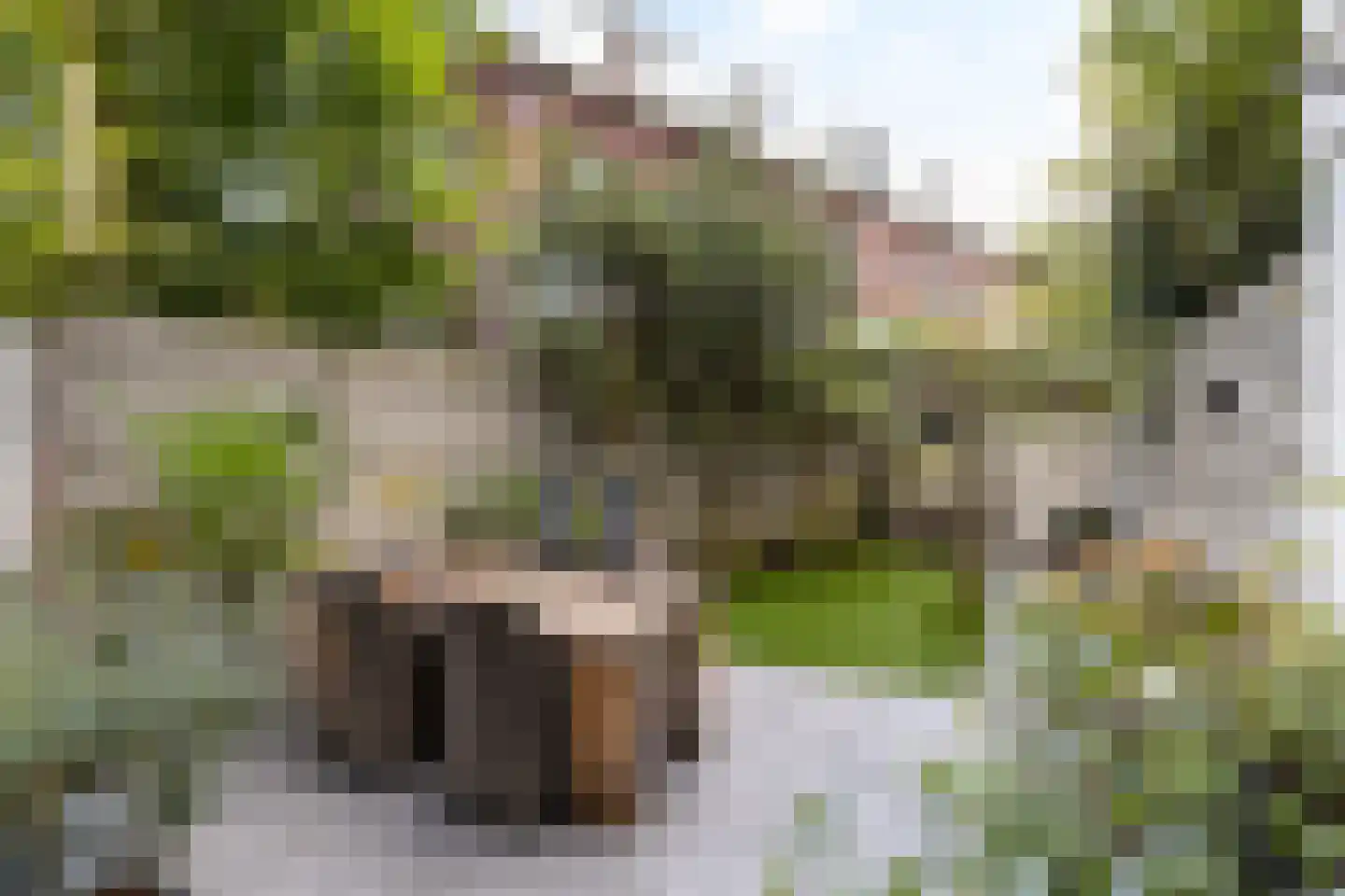 Biltstraat 108 Utrecht thumbnail 32