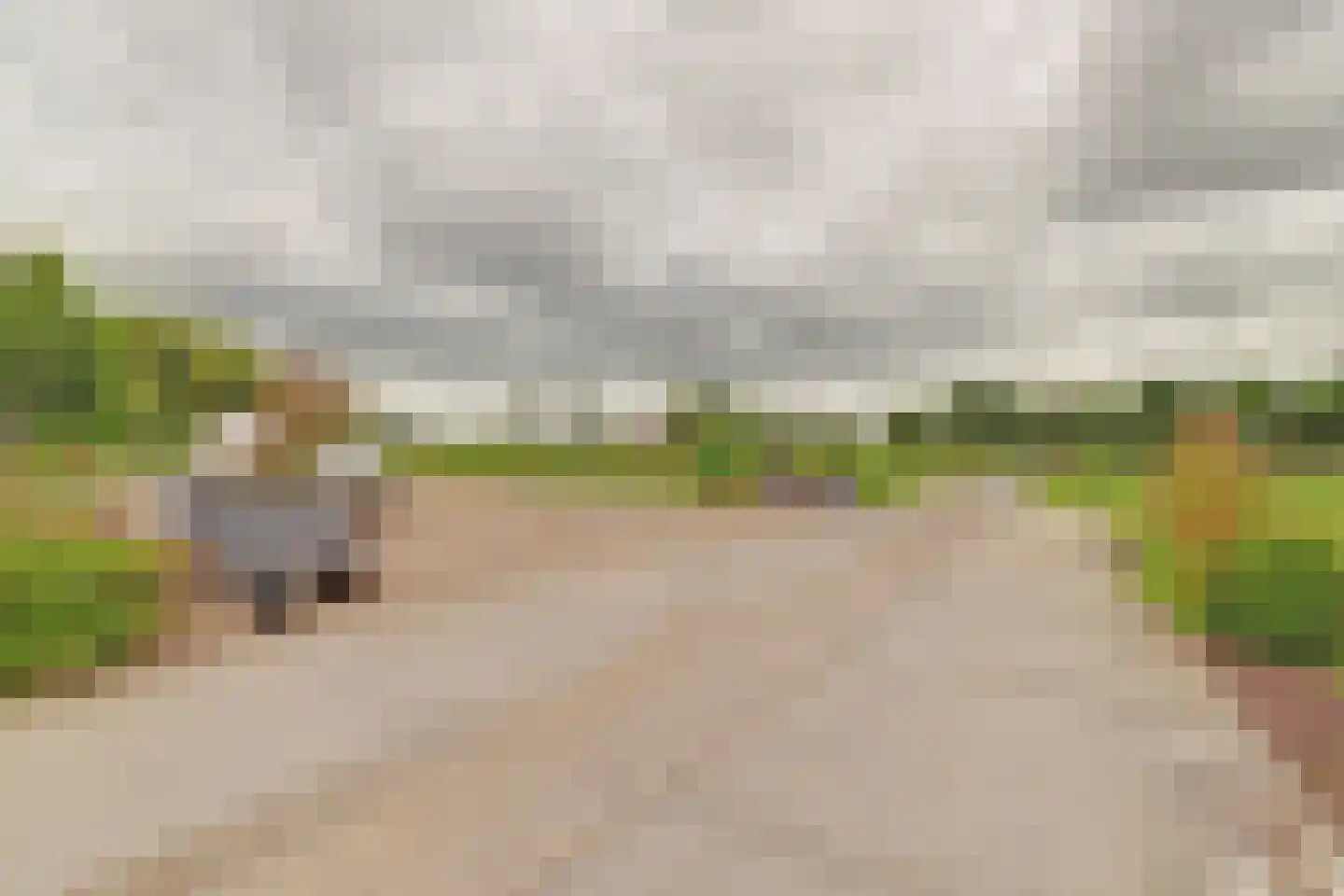 Bilwijkerweg 115 Stolwijk thumbnail 11