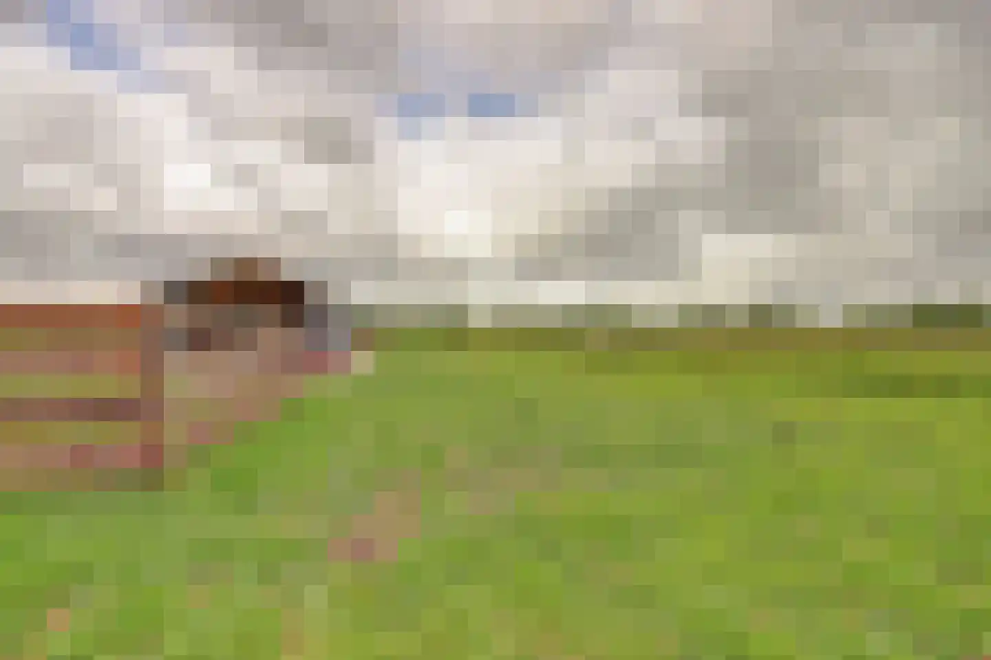 Bilwijkerweg 115 Stolwijk thumbnail 21