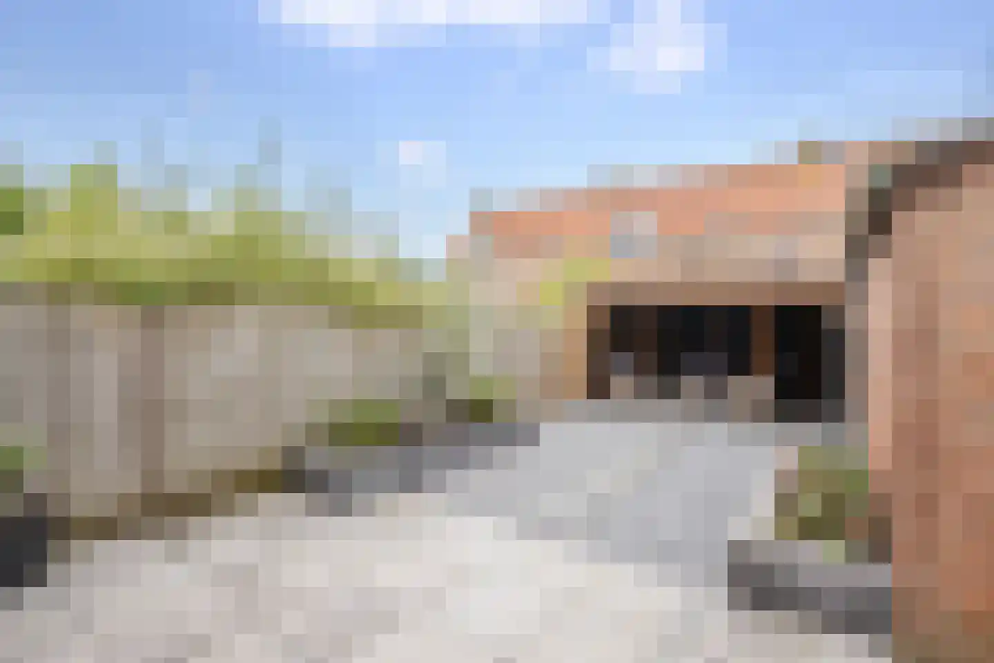Bilwijkerweg 45 Stolwijk thumbnail 24