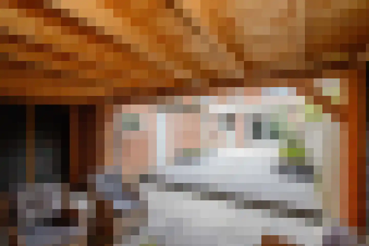 Bilwijkerweg 45 Stolwijk thumbnail 4