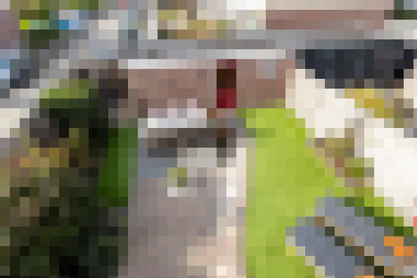 Bilwijkerweg 63 Stolwijk thumbnail 18