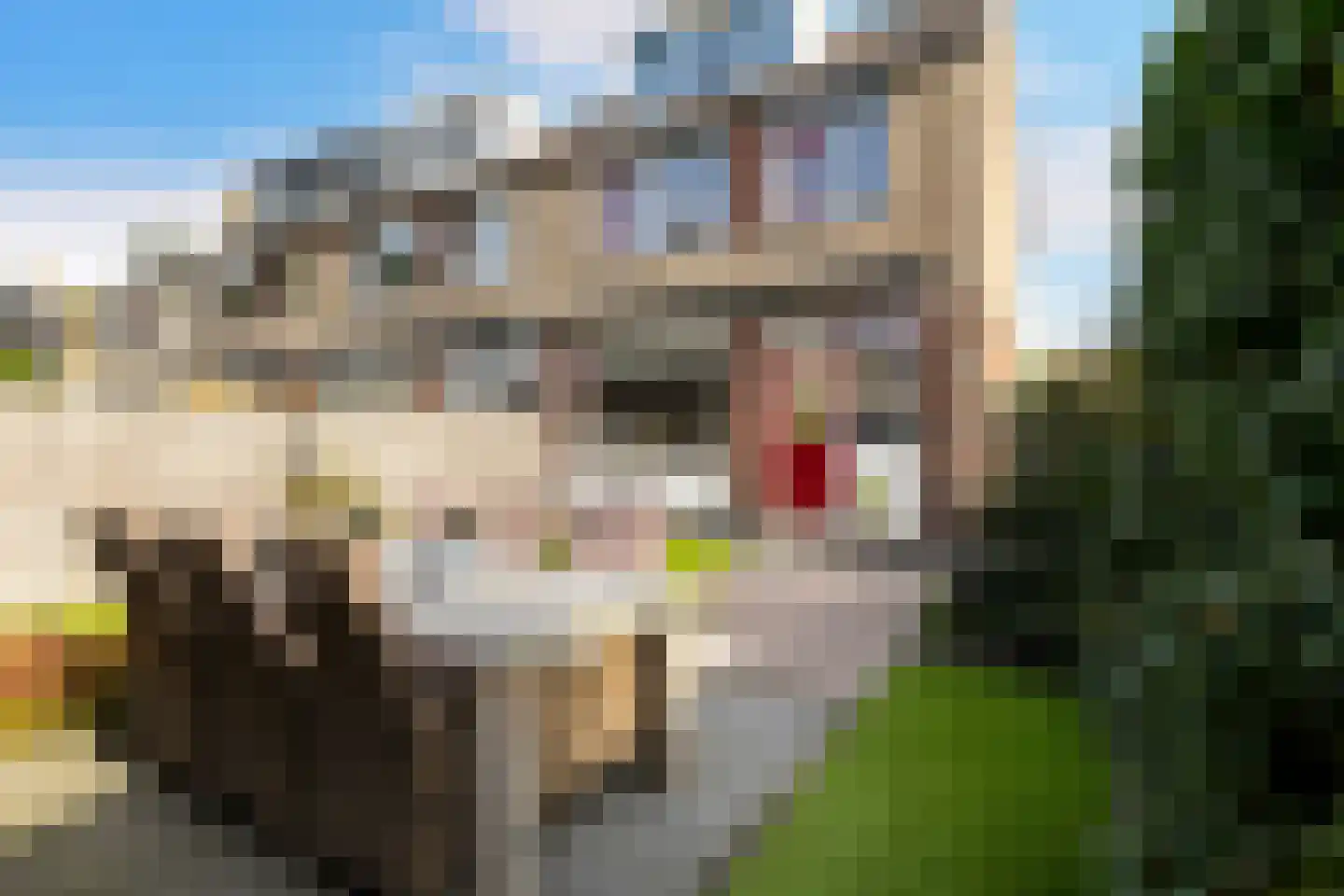 Bilwijkerweg 63 Stolwijk thumbnail 35