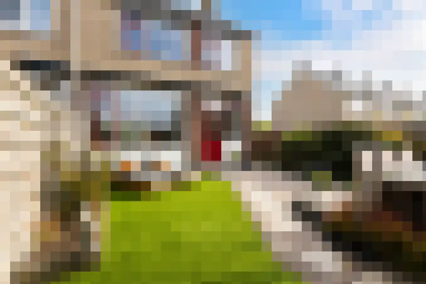 Bilwijkerweg 63 Stolwijk thumbnail 36