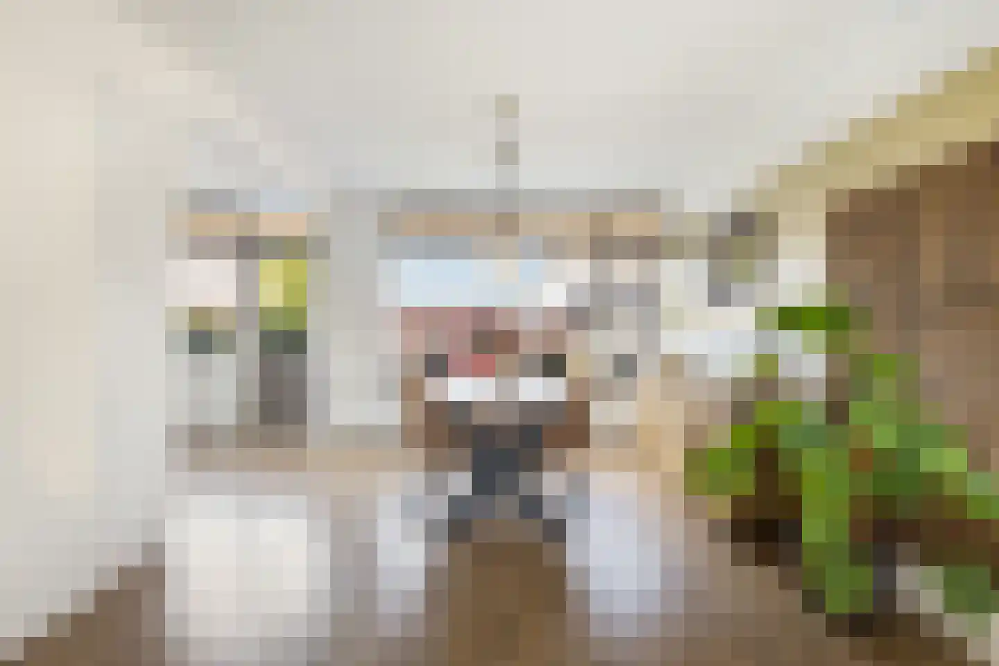 Bilwijkerweg 63 Stolwijk thumbnail 7