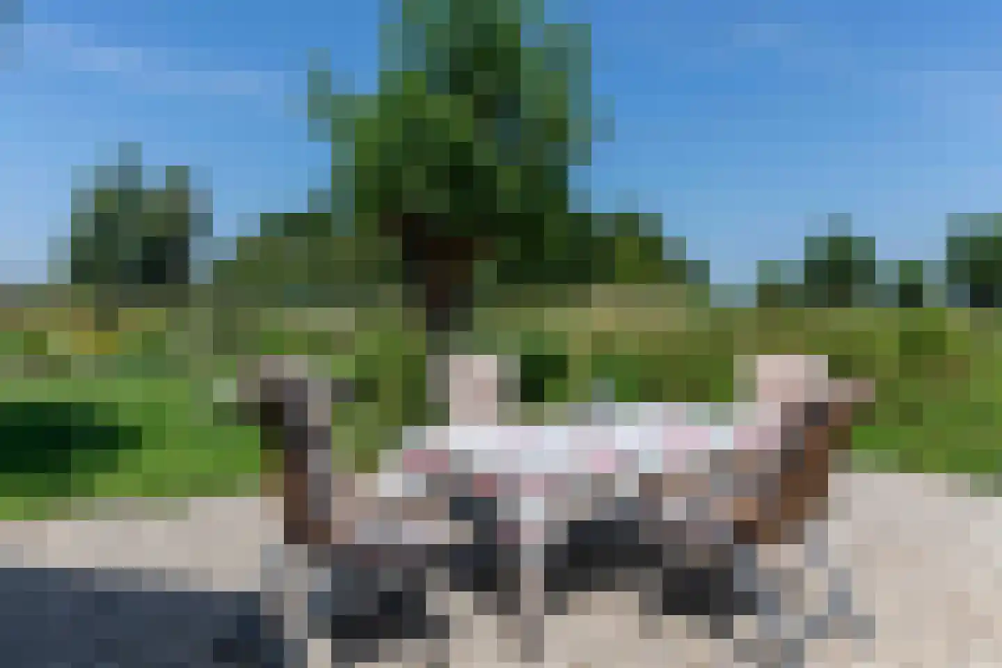 Bilwijkerweg 8 Stolwijk thumbnail 19