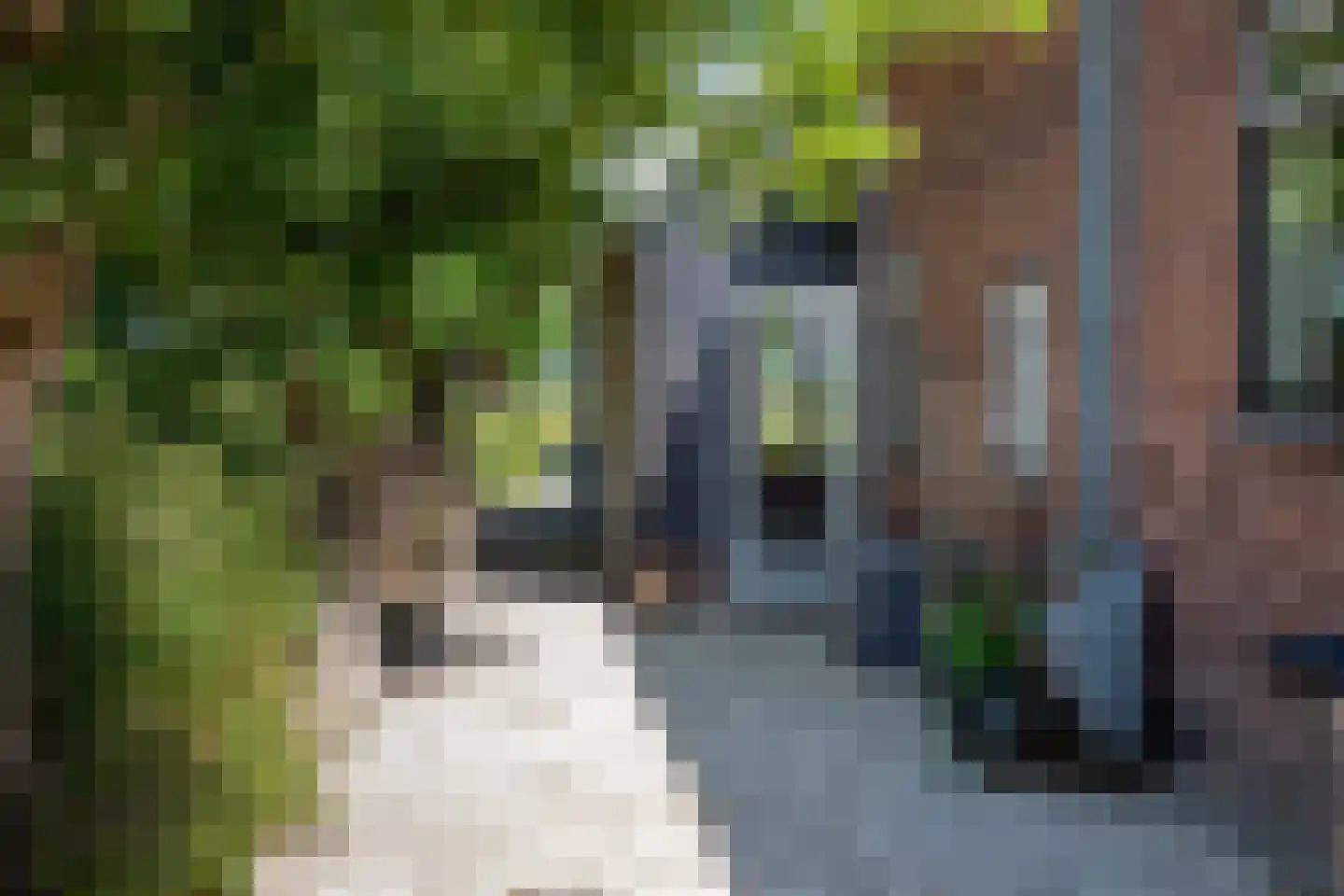 Bilwijkerweg 8 Stolwijk thumbnail 21