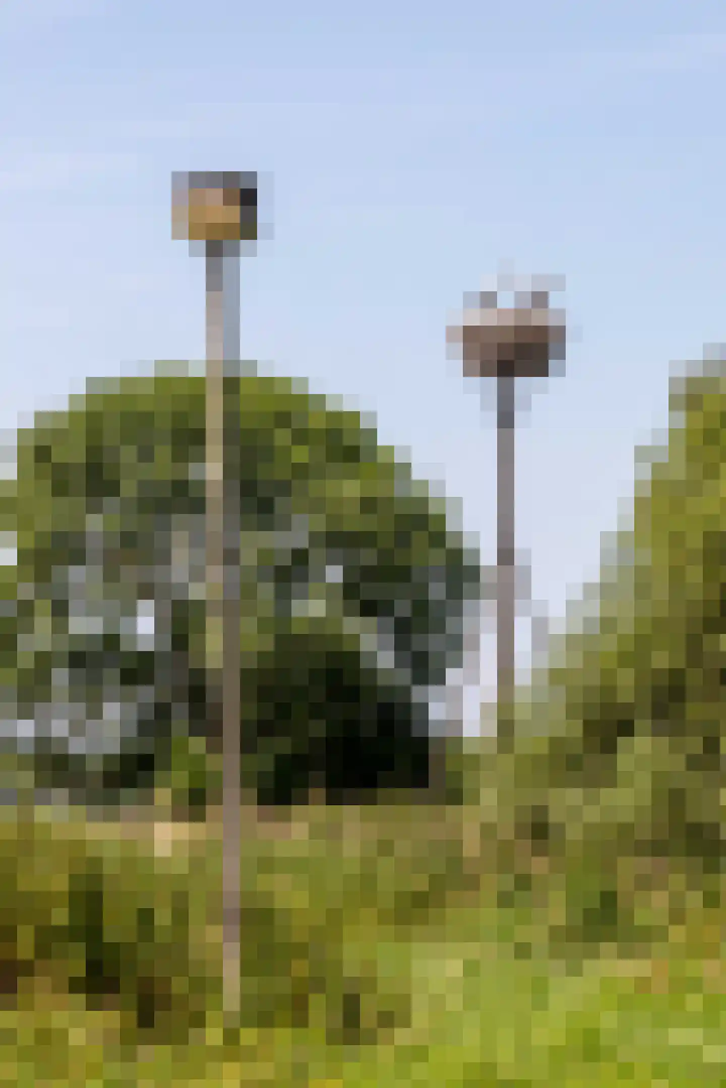 Bilwijkerweg 8 Stolwijk thumbnail 23