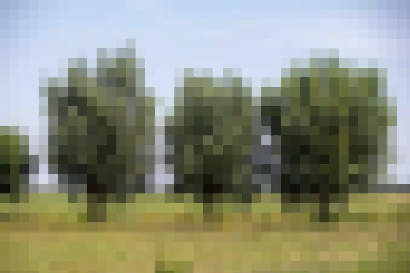 Bilwijkerweg 8 Stolwijk thumbnail 24