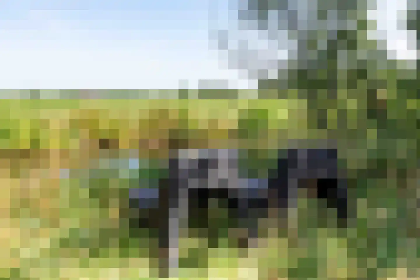 Bilwijkerweg 8 Stolwijk thumbnail 26
